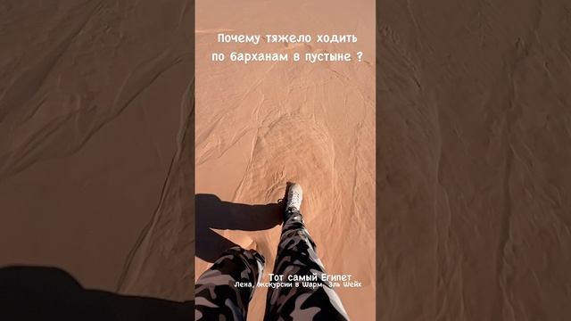 Залипательное видео смотреть онлайн