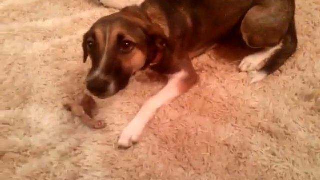 Страшная улыбка смотреть онлайн