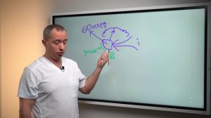 Шум в ушах и голове. Всего одно упражнение в 90% случаев устранит причину