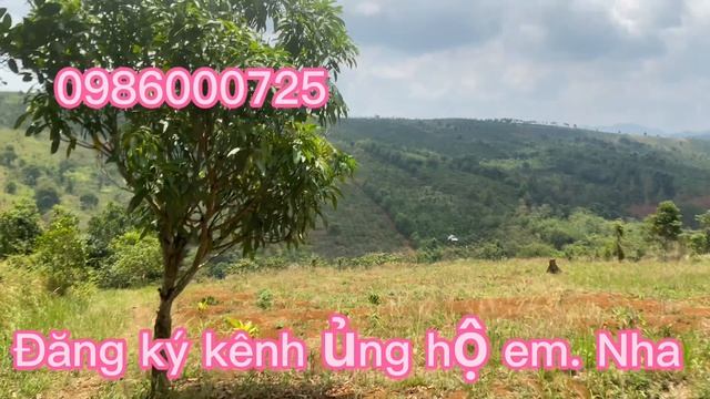 380 Tr / 1,5 Ha . Đất đỏ Bazan