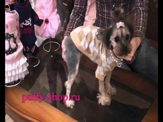 Свитер для собак Pinkaholic смотреть онлайн