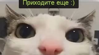 скачиваем WindowsXP с сайта Rsload Net