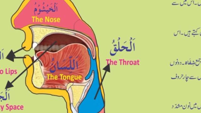 Lesson 2, Usool e Makharij kia han Tajweed post 4 | Pir Karam Dadi смотреть онлайн
