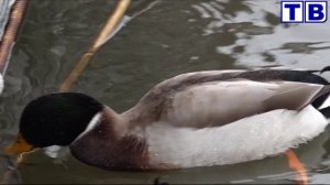 Наш город от 04 12 24