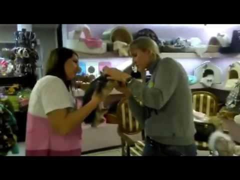 Стрижка в салоне Puffy-Groom смотреть онлайн