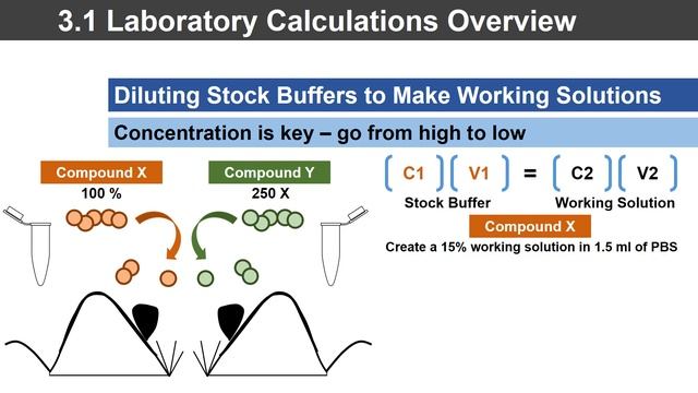 BIO 100 Calculations Hybrid Module 3.1 (Part C) Dilutions смотреть онлайн