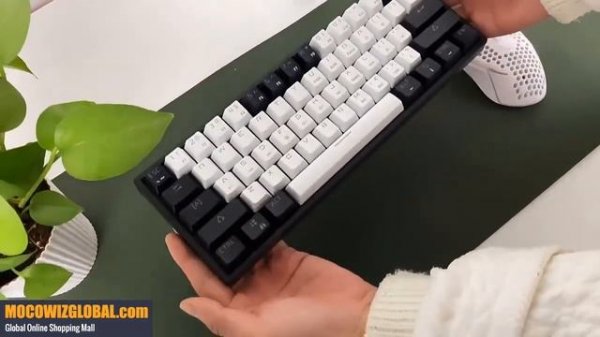 LEAVEN K620 Mini Gaming Mechanical Keyboard Light Test
