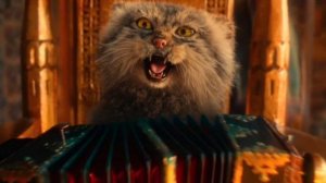 Алексин - " Кошка "