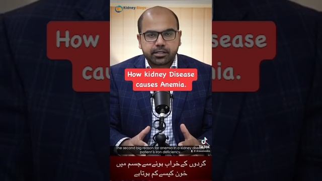 Causes of Anemia in kidney disease. #kidneydisease #anemia #kidneyhealth смотреть онлайн