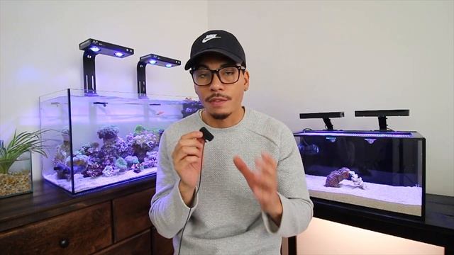 My top 4 picks of budget equipment for reefers! смотреть онлайн