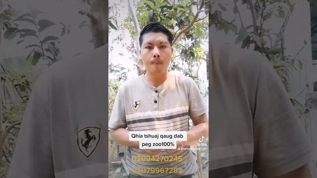 qhia tus tshuaj zoo qaug dab peg rau nej dua. смотреть онлайн