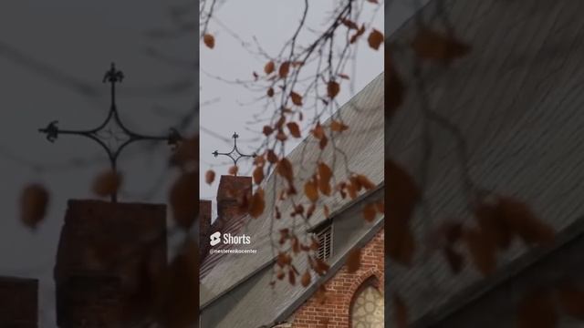 Из фильма «Русские• XXI век».62 смотреть онлайн