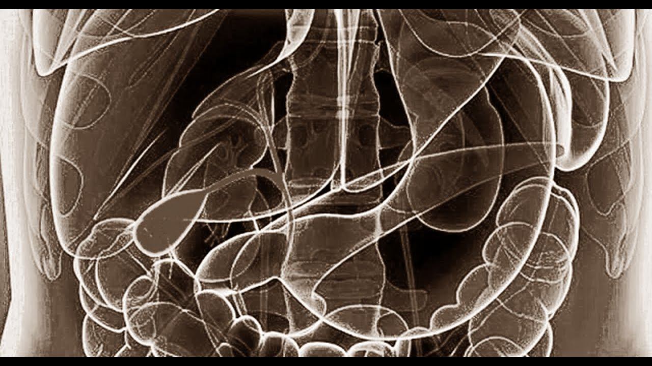 Меридиан желчного пузыря смотреть онлайн