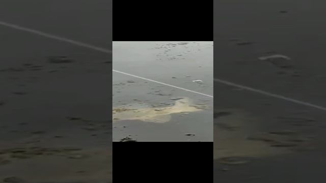 Щука моей мечты смотреть онлайн