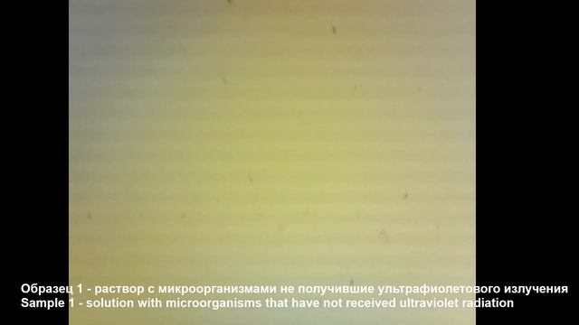 Облучение микроорганизмов и бактерий ультрафиолетовым излучателем эксперимент № 2 смотреть онлайн