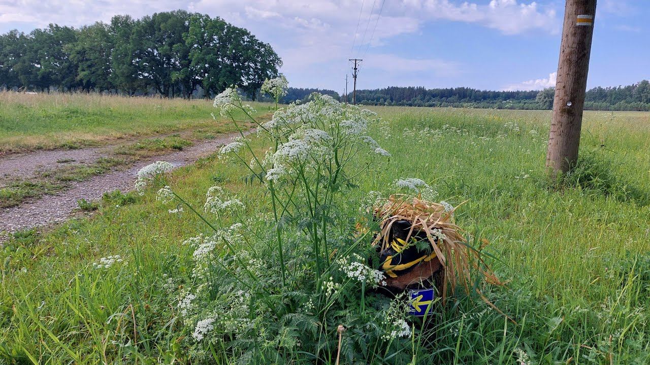 Походы Выходного Дня
