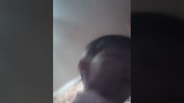 Как украсить дом кота смотреть онлайн