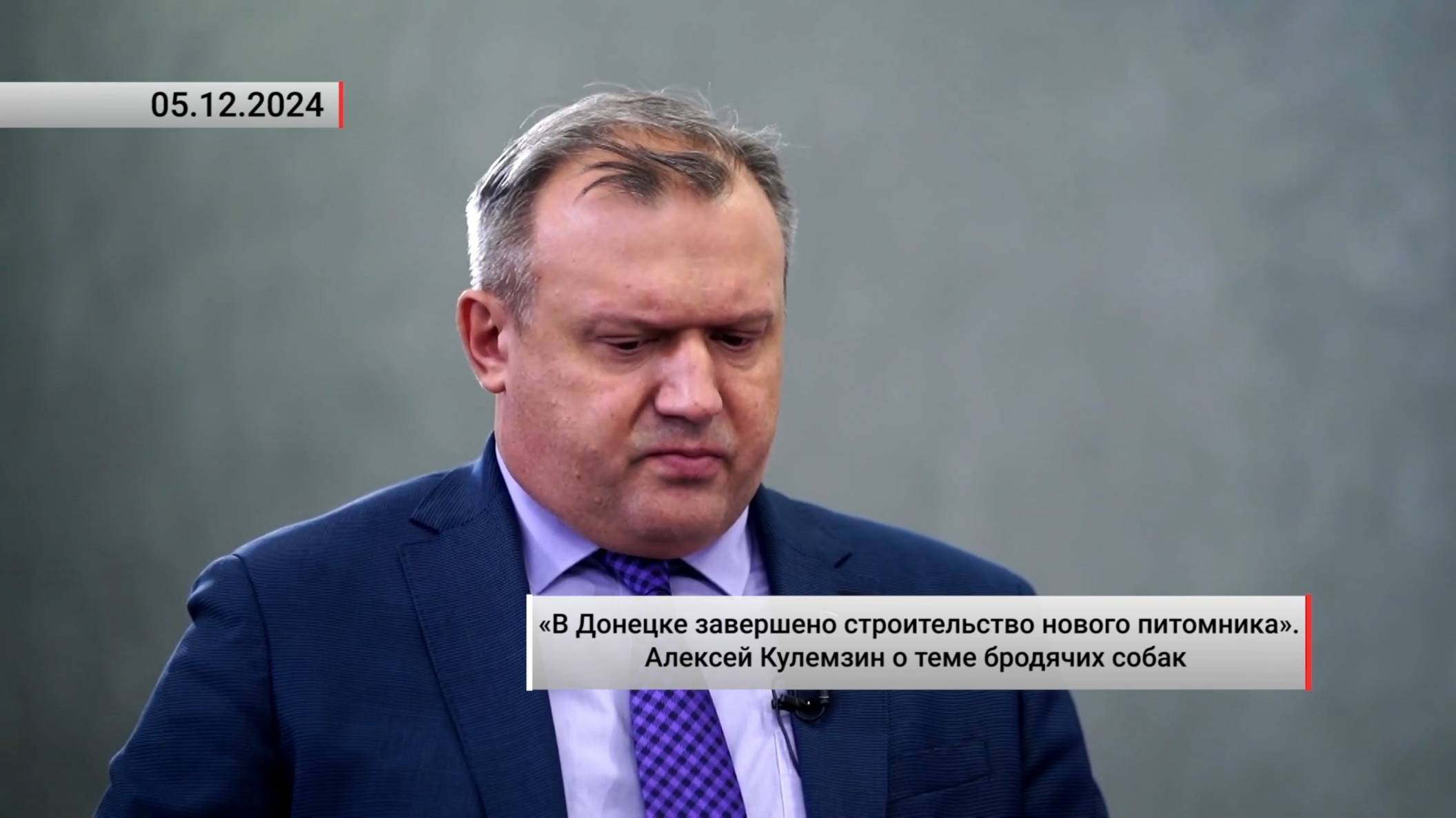 Алексей Кулемзин о теме бродячих собак. Актуально. 05.12.2024 смотреть онлайн