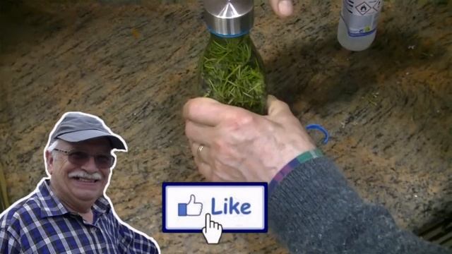 ALCOHOL DE ROMERO CASERO