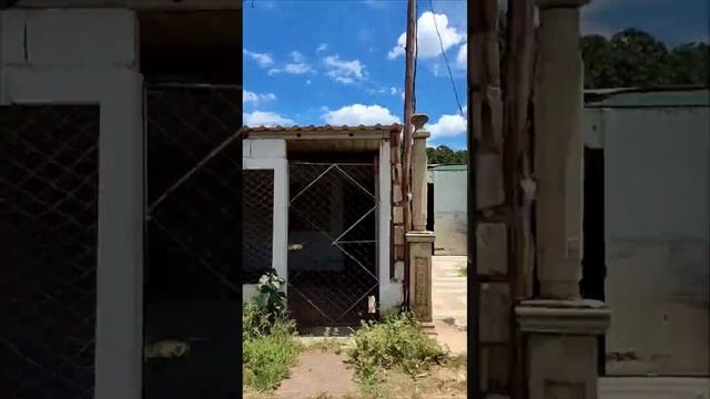 Настоящая Куба, пригород Морона. Куба за 57 тысяч рублей с перелетом на 10 ночей 5* @tutsi-dieti смотреть онлайн