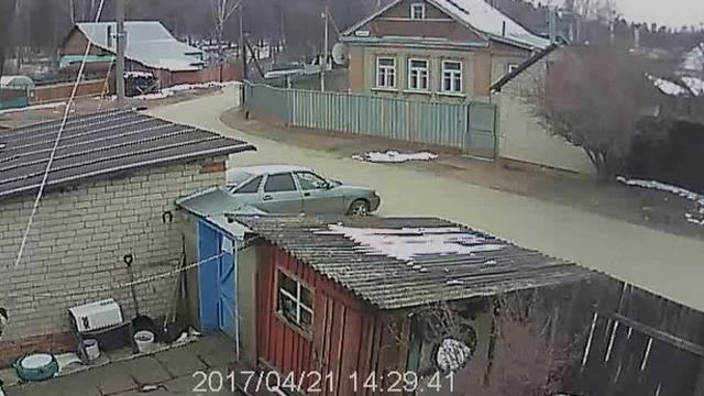 Нелюди ездят и травят собак Ив. Обл. Ив. р-н. Богородское ул.Школьная. смотреть онлайн