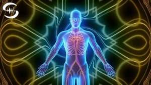 ВАРИКОЗ*УДАЛЕНИЕ БЕЗ ХИРУРГИЧЕСКОГО ВМЕШАТЕЛЬСТВА И ПРОФИЛАКТИКА ВАРИКОЗА*ИСЦЕЛЕНИЕ ЧАСТОТАМИ