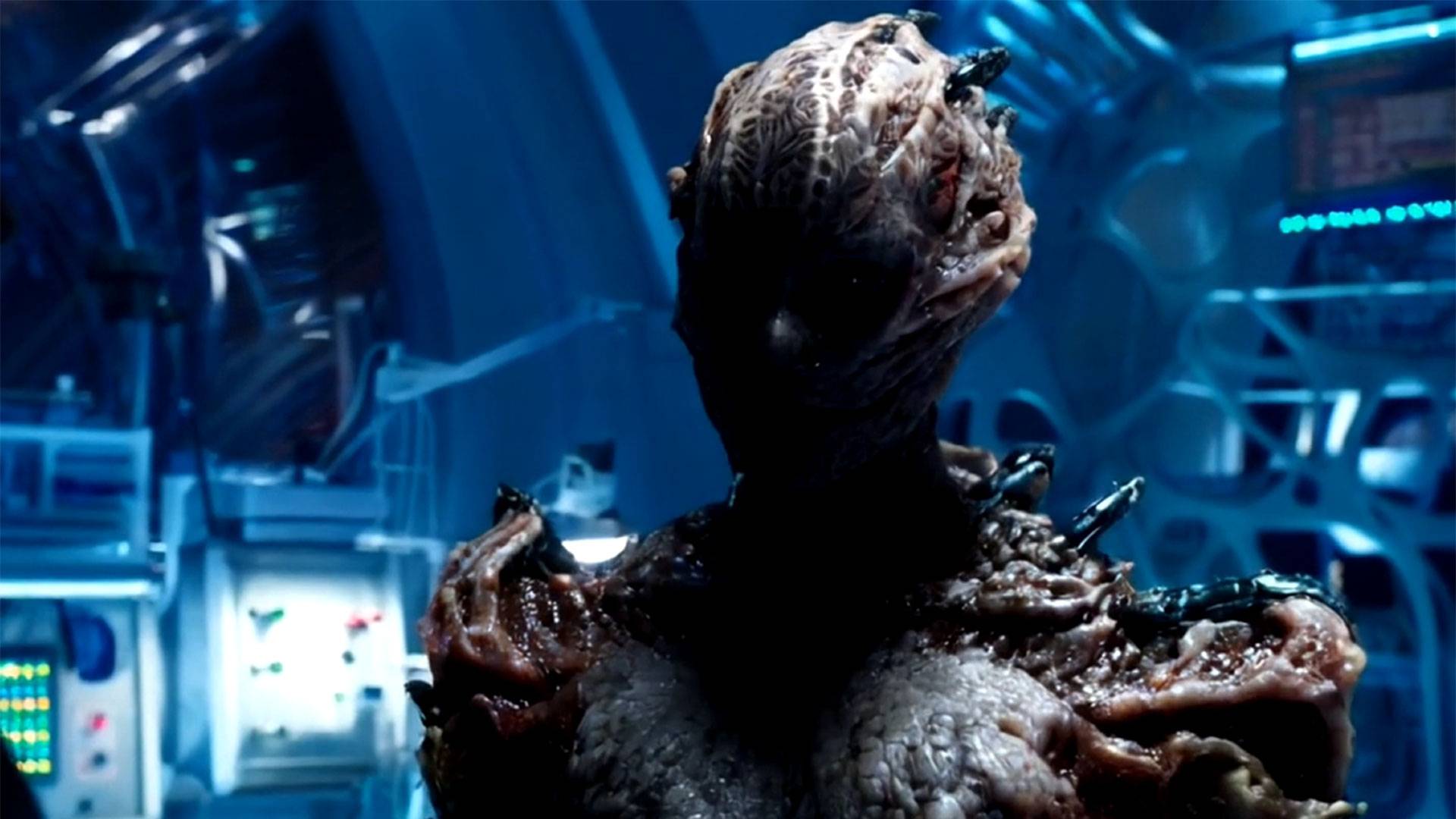 Mutua Mutazione 623•55