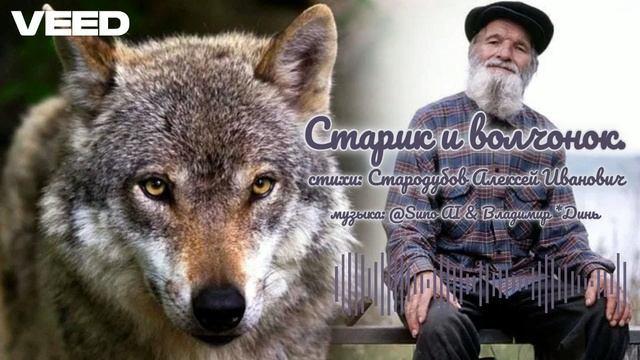 Старик и волчонок. Подлинная история.[chanson] смотреть онлайн