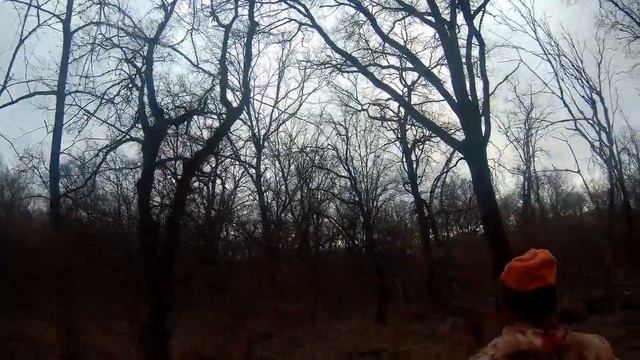 загонная охота на косулю 11.12.2021 смотреть онлайн