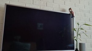 Спящий режим и запуск