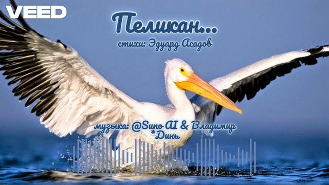 Эдуард Асадов - "Пеликан" [ballad] смотреть онлайн