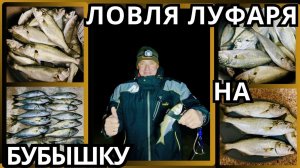 Морская рыбалка в Крыму. Ловим луфаря фидерным удилищем на бубышку