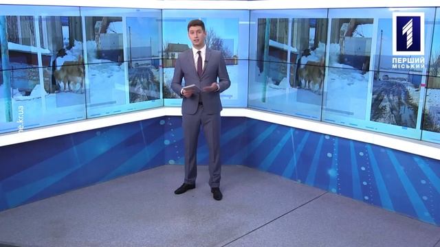 Підсумки тижня 10-16 лютого 2020: додаток «Дія», пестициди у водосховищі, анорексія через булінг смотреть онлайн