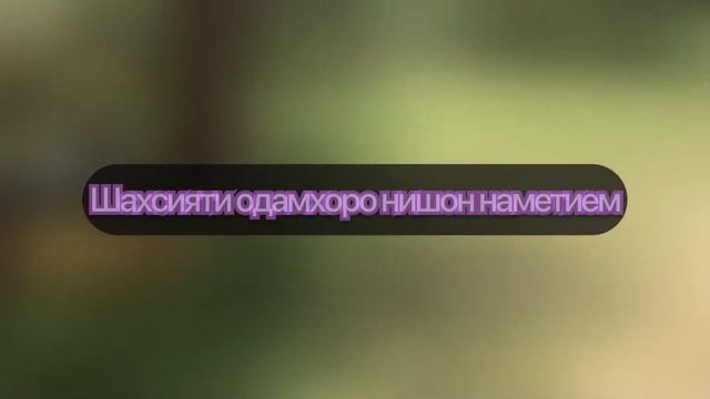 Д.Зулмобод смотреть онлайн
