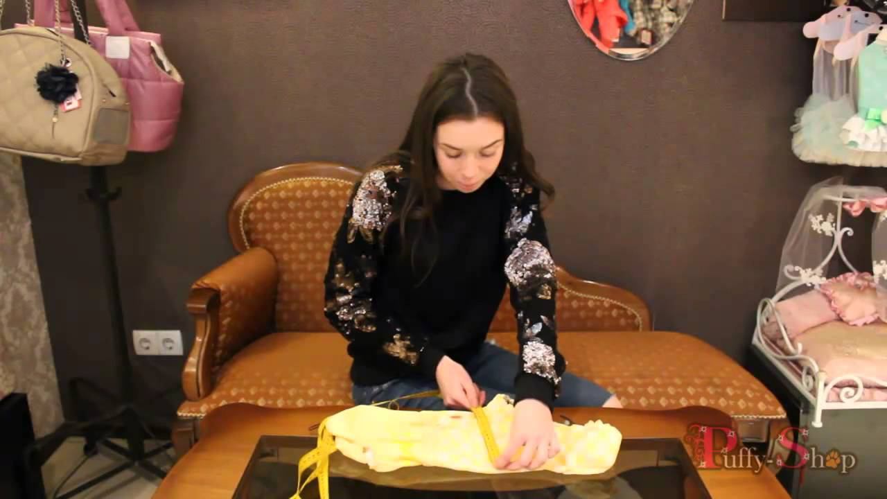 Как снять мерки одежды для собаки? смотреть онлайн