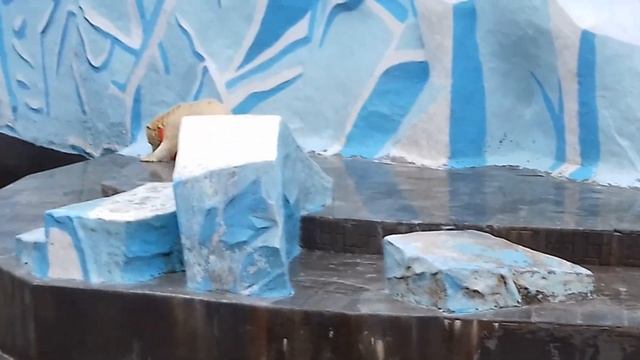 Продолжаем веселиться....Keep having fun. смотреть онлайн