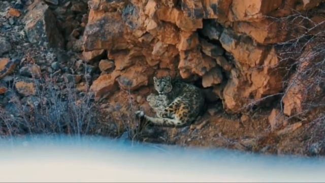 Презентация Greenway смотреть онлайн