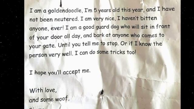 СЕРДЦЕ мужчины СЖАЛОСЬ когда он услышал гавканье и гудки машин... смотреть онлайн