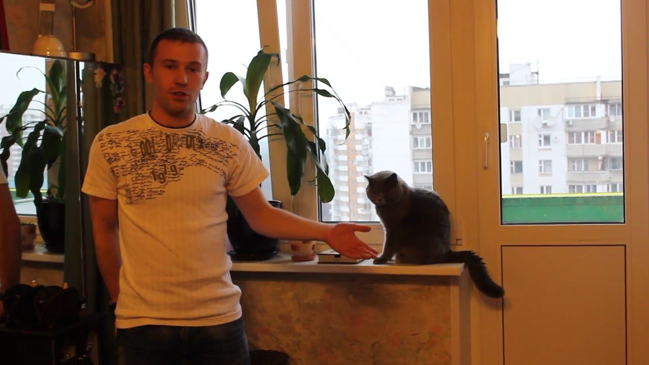 Видео-отзыв клиента компании Окна Мастер (Москва)