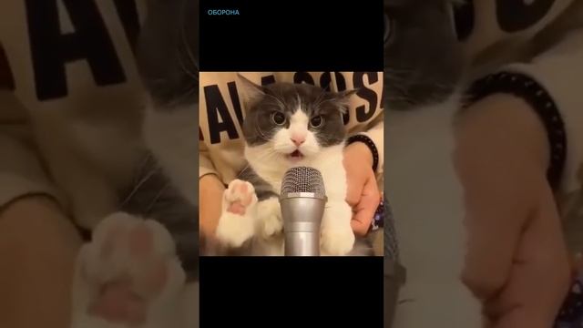 Каждый день на Украине смотреть онлайн