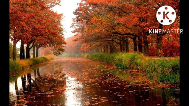 Осенний Эмбиент (Авторское сочинение) смотреть онлайн