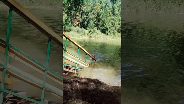 Лето пролетело смотреть онлайн