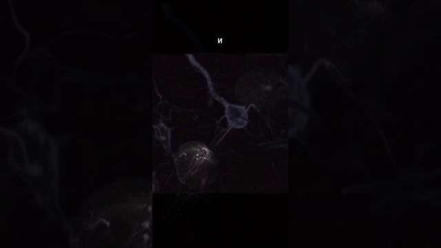 VID_20230707_220858.MOV