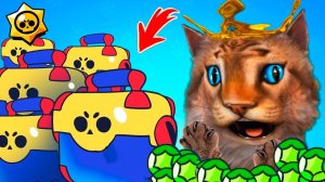 БИТВА АККАУНТОВ В BRAWL STARS