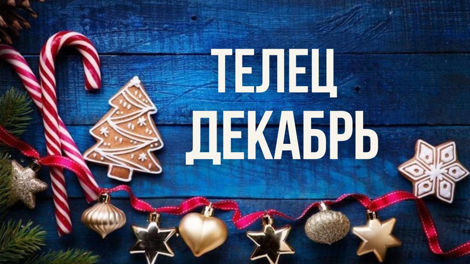 ТЕЛЕЦ ♉ ДЕКАБРЬ 2024 ❄️ смотреть онлайн