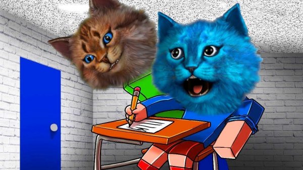 Я СТАЛ БАЛДИ! КОТЁНОК ЛАЙК ПОПАЛ В МОЙ КЛАСС