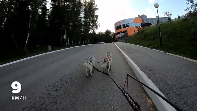 Наконец-то похолодало. Начались вечерние покатушки.