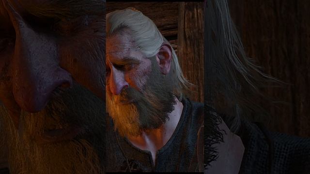 Секретный квест в ведьмаке ▌Ведьмак 3: дикая охота #shorts #ведьмак смотреть онлайн