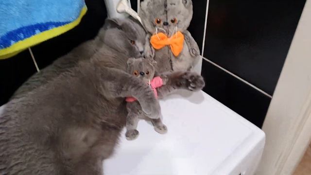 Семьянин. смотреть онлайн