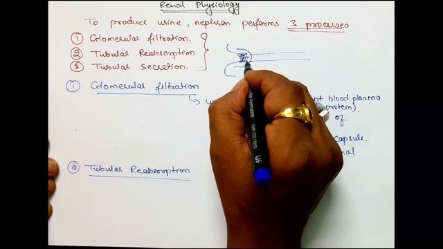 PART 8: Urinary System | Renal Physiology | B. Pharm, GPAT, Nursing, Medical